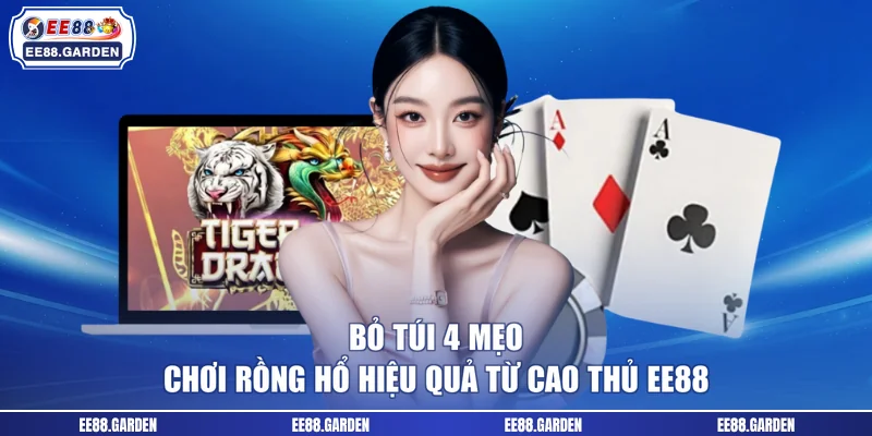 Bỏ túi 4 mẹo chơi Rồng Hổ hiệu quả từ cao thủ EE88