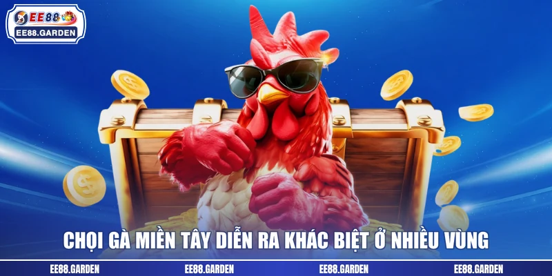 Chọi gà miền Tây diễn ra khác biệt ở nhiều vùng