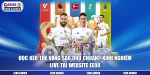 Đọc Kèo Thẻ Vàng Sao Cho Chuẩn? Kinh Nghiệm Live Tại Website EE88