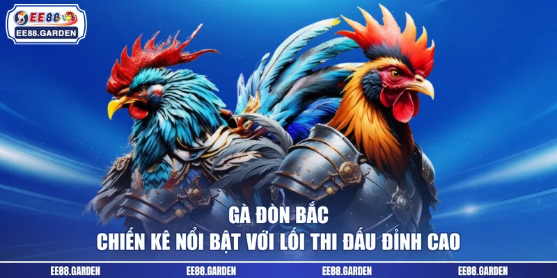 Gà Đòn Bắc - Chiến Kê Nổi Bật Với Lối Thi Đấu Đỉnh Cao