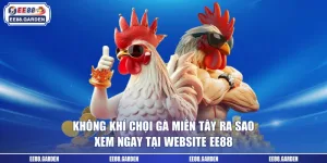 Không Khí Chọi Gà Miền Tây Ra Sao - Xem Ngay Tại Website EE88
