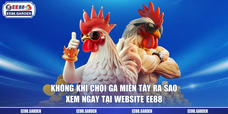Không Khí Chọi Gà Miền Tây Ra Sao - Xem Ngay Tại Website EE88