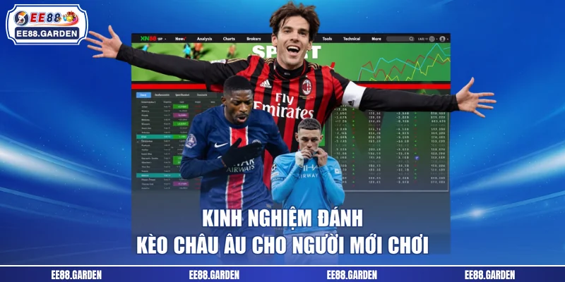Kinh nghiệm đánh kèo châu Âu cho người mới chơi