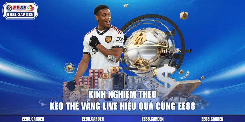 Kinh nghiệm theo kèo thẻ vàng live hiệu quả cùng EE88