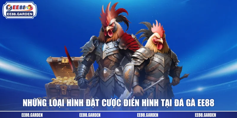 Lý do sảnh đá gà EE88 được nhiều người săn đón