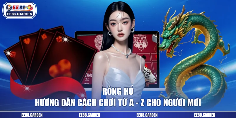 Rồng Hổ | Hướng Dẫn Cách Chơi Từ A - Z Cho Người Mới