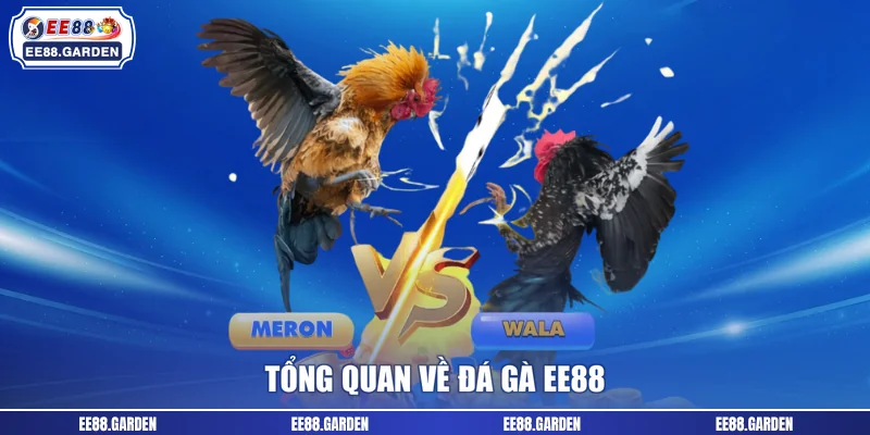 Tổng quan về đá gà EE88