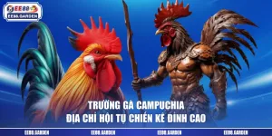Trường Gà Campuchia - Địa Chỉ Hội Tụ Chiến Kê Đỉnh Cao